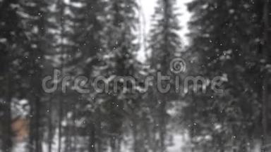 <strong>森林</strong>公园里下雪。 <strong>冰雪</strong>覆盖公园的冬季景观。 美丽的大雪变化集中在松树上